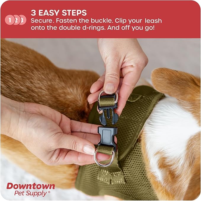 Downtown Pet Supply Step-in Dog Harness – No Pull, Adjustable Padded Mesh with Reflective Trim, Secure Buckle Strap – Comfortable & Breathable Small Dog Harness, Small, Hunter Green