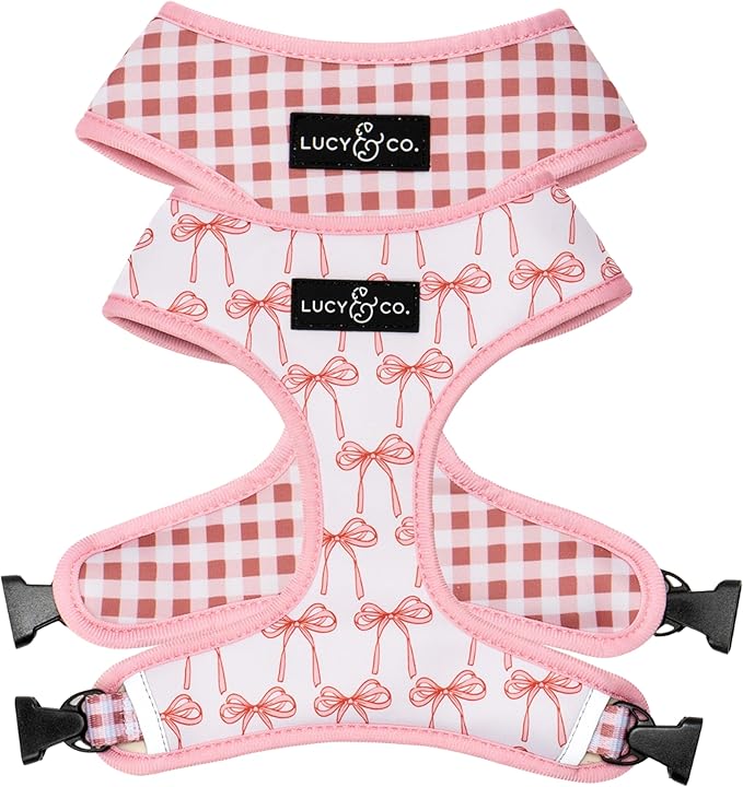 Lucy & Co. Cute Reversible Dog Harness Walking Halter - Best Designer Pet Harnesses for XS - XL Dogs - Padded Adjustable Vest for Easy Walking (X-Large, Ballet Bows - White & Pink Bows)