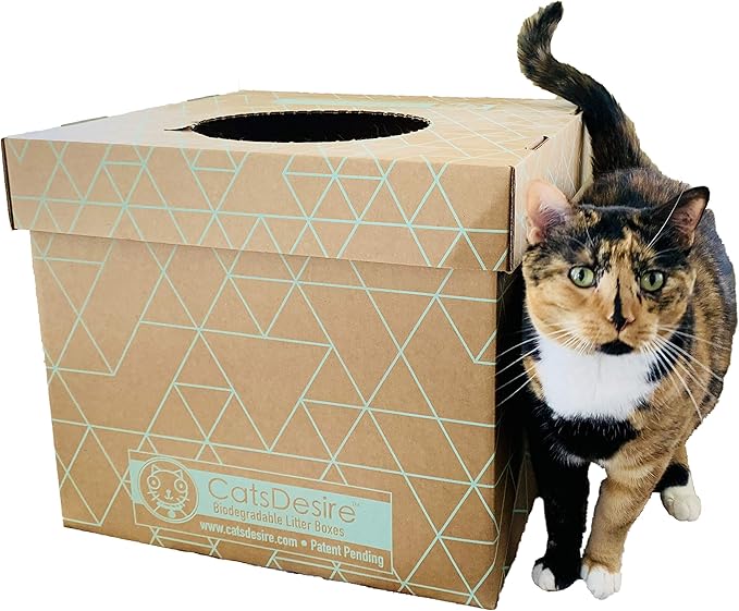 Leakproof Disposable Cat Litter Box 3 Pack (9 pcs) Top/Low Entry INCLUDES- 3 lids, 3 bases and 3 multipurpose pads - Open or Closed, 17"L x 17"W x 15.25"H. Xtra Large Woman Owned Made in USA Patented