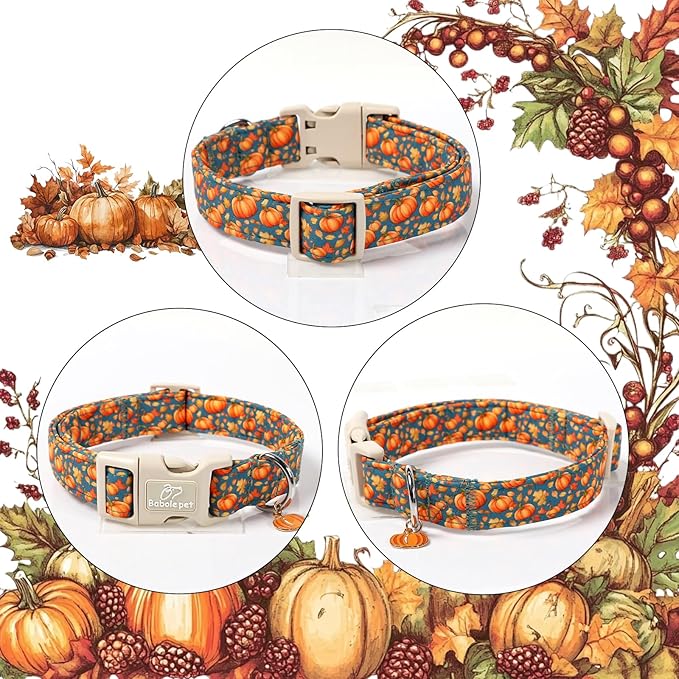 Fall Dog Collar Cute Autumn Pumpkin Puppy Collar - Light Comfortable Adjustable Pet Collars for Small Medium Large Girl Boy Dogs XS
