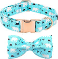Dog Collar-Bow Dog Collar Blue Bear Pattern Pet Collar Dog Cute Bow Tie Soft Girl Boy Dog Collars with Metal Buckle Wonderful Gift for X-Small Puppy