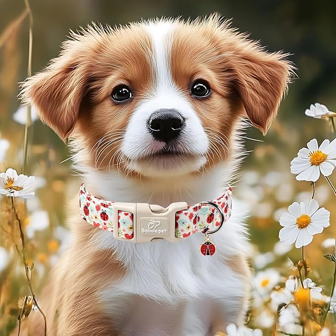 Ladybug Dog Collar for Large Dogs - Cute Spring/Summer Dog Collar, Lightweight Adjustable Cartoon Love Bug Garden Mom Dogs Collars with Quick Release Buckle XL