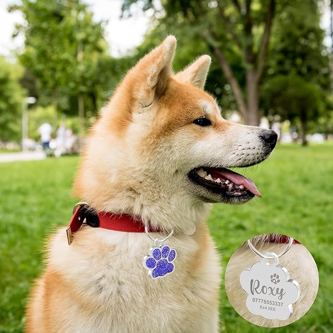 EDSG Cat Dog Tags Personalized for Pets, Dog Name Tags Cat Name ID Tag, Engraved Dog Tags Dog ID Tags Small Glitter Bling ID Tag Paw Print for Cat Pet Dog Puppy(Silver,Design 1)
