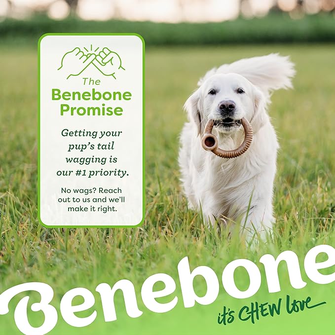 Benebone Ring Durable Dog Chew Toy for Aggressive Chewers, Real Bacon, Made in USA, Large