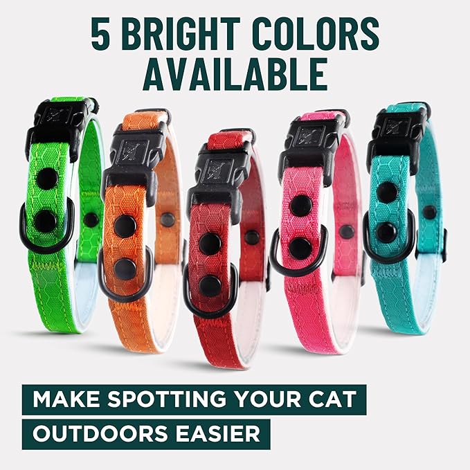 OutdoorBengal Black Breakaway Kitten Collar - Ultra Safe Quick Release Cat Collar for Small Kittens Under 6 Months – Soft-Padded, Lightweight, Adjustable, Thin and Comfortable, No Bell (Black, Kitten)