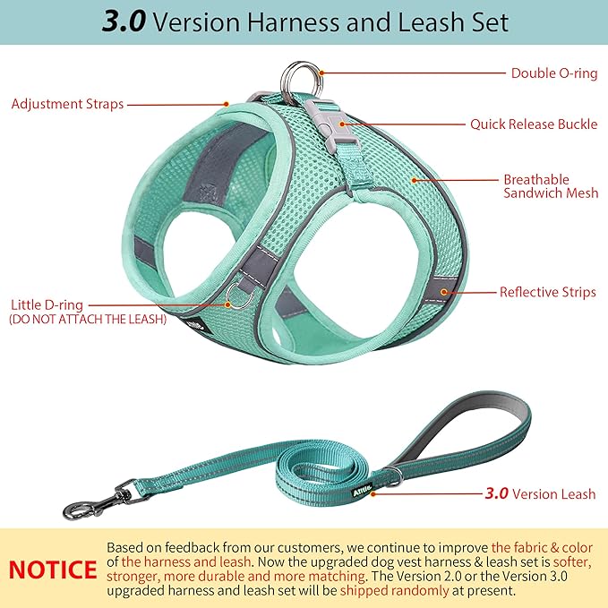 AIITLE Comfortable Dog Harness and Leash Set for Walking - Step in Vest Harness,Reflective Bands, Adjustable No Pull Puppy Essentials, for Small Dogs and House Cats Pure Turquoise XS