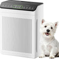 Air Purifiers for Home Large Room up to 2200sq.ft with Washable Filters, EVALIT Air Purifiers for Bedroom with Fragrance, PM 2.5 Display Air Quality Sensor for Smoke Dust Odors, White, 1Pack+3Modes