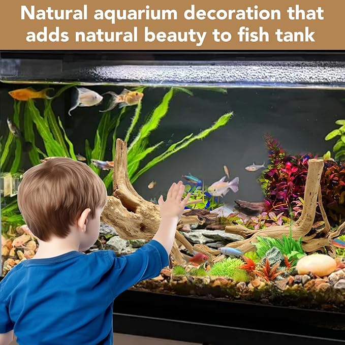 Jorewood Natural Large Spiderwood Driftwood for Aquarium Decor Rptile Fish Tank Decoration Assort Branch 11-14'' 2 Pcs