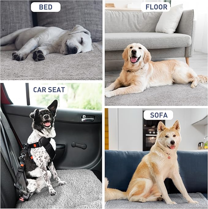 Kritter Planet Waterproof Dog Blanket, Reversible Water Proof Pet Blanket for Couch, Bed & Sofa, Washable Couch Covers for Large Dogs - Protects Furniture from Fur, Dirt, and Accidents
