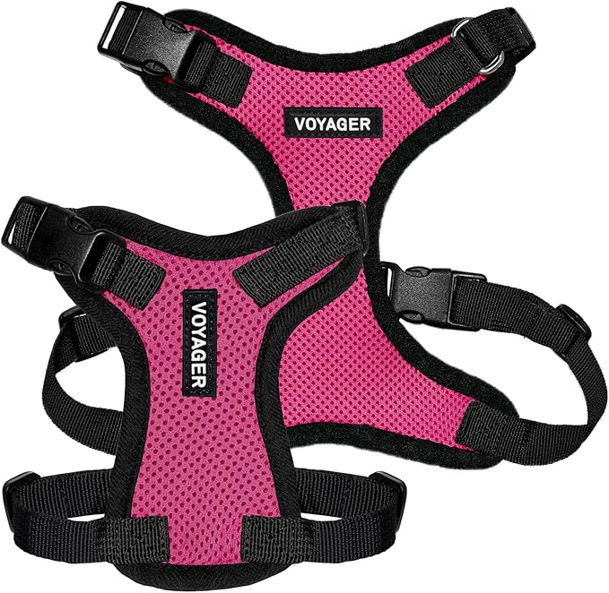 Voyager Step-in Pet Harness - All Weather Mesh, Adjustable Step in Harness for Cats and Dogs by Best Pet Supplies - Fuchsia/Black Trim, S