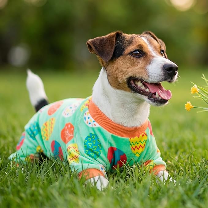 Fitwarm Easter Egg Dog Pajamas, Holiday Dog Clothes for Small Dogs Girl Boy, Pet Easter Outfit, Puppy Cat Onesie, Lightweight Velvet, Light Green, Orange, Large