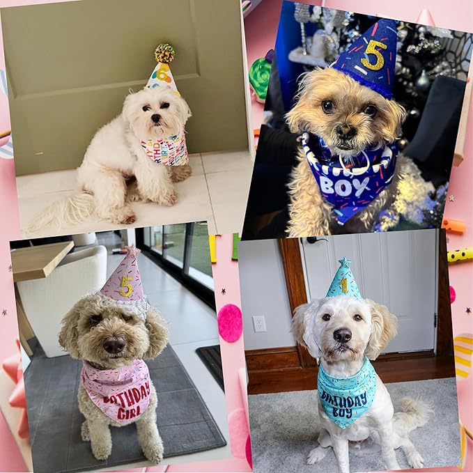 Dog Birthday Bandana Set, Light Pink Birthday Girl Decorations, HBD Party Supplies with Hat Bandana Numbers for Pets (Light Pink)