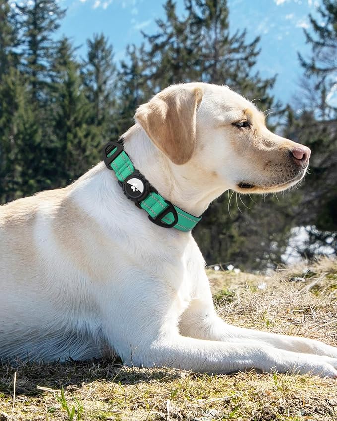 Joytale Airtag Dog Collar, Reflective Pet Collar with Waterproof AirTag Holder, Dual D-Rings, Soft Padded Adjustable for Small Dogs, Teal, S