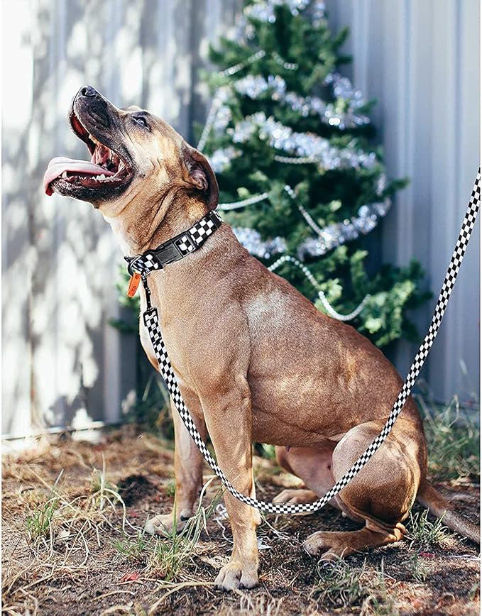 Roses&Poetry Dog Collar with Colourful Patterns, Adjustable Durable Puppy Collars for Small Medium Large Dogs (Black & White-L)