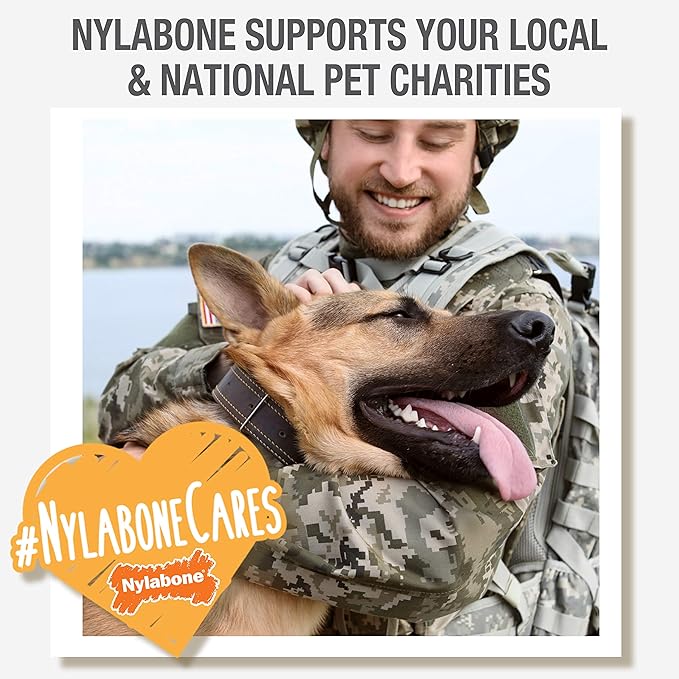 Nylabone Original Bone Power Chew Toy for Dogs, Durable Dog Toys for Aggressive Chewers, Basted Blast Bacon & Chicken Flavor, Medium - Up to 35 lbs, 2 Pack