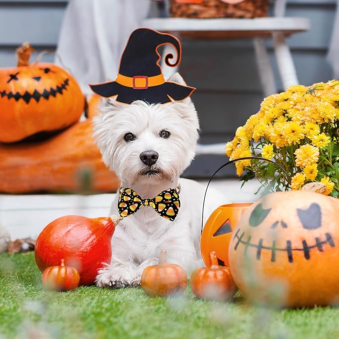 Halloween Dog Bow Tie Collar, Holiday Candy Corn Collar for Large Medium Small Dog Pets Puppies