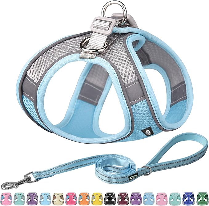 AIITLE Dog Harness, No-Pull Cat Harness with a Leash, Adjustable Reflective Dog Vest, Cat Harness Escape Proof, Outdoor Walking, Running,Training for Extra Small Dogs and House Cats Blue XXXS