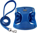 BOOMIBOO Dog Harness with Leash Set, No Pull Adjustable Reflective Step-in Puppy Pet Vest Harnesses for Small Medium Large Dogs and Cats,Blue XXS