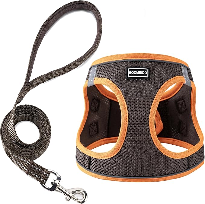Dog Harness with Leash Set, No Pull Adjustable Reflective Step-in Puppy Pet Vest Harnesses for Small Medium Large Dogs and Cats,Brown M