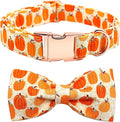Dog Collars - Halloween Pumpkin Bowtie Dog Collar Gift Soft Bow Collar Pet Adjustable Metal Buckle Pet Collar for X-Small Dogs