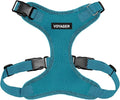 Voyager Step-in Pet Harness - All Weather Mesh, Adjustable Step in Harness for Cats and Dogs by Best Pet Supplies - Turquoise, S