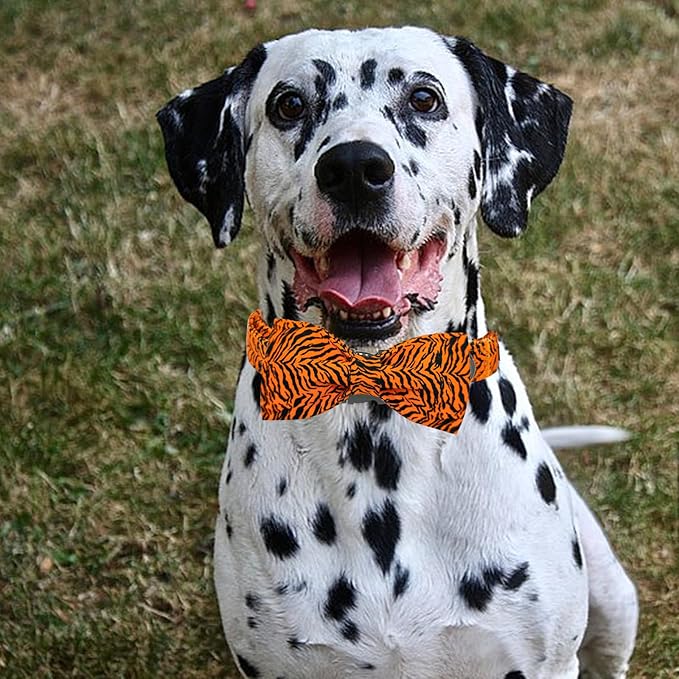 Elegant little tail Dog Collar, Tiger Print Pet Collar Fashion Boy Dog Collars Durable Metal Buckle Dog Collars Cotton Pet Adjustable Dog Collars for X-Large Dogs