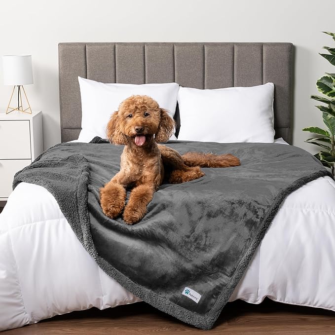 PetAmi Waterproof Dog Blanket for Medium Large Dog Puppy Cat Throw for Couch Cover Leakproof Protection, Sherpa Fleece, Reversible Soft Washable 60x40 Gray Gray