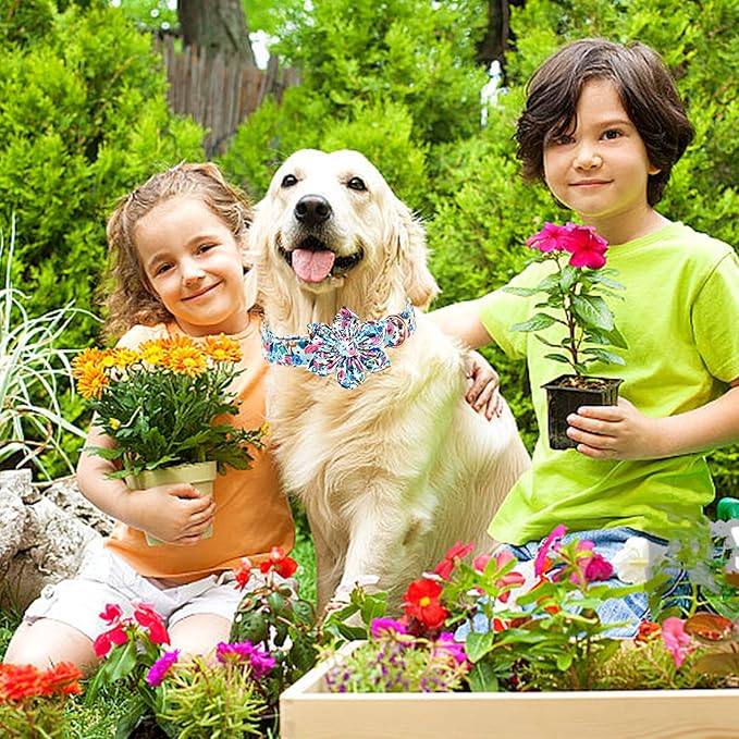 Lionheart Glory Floral Dog Collar - Soft, Durable & Adjustable for Large Dogs