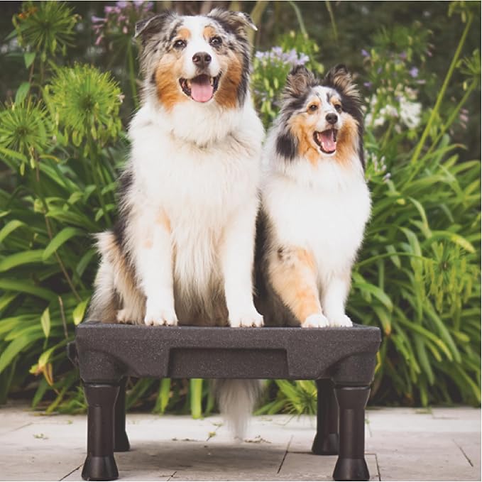 Blue-9 Pet Products KLIMB Dog Training Platform and Agility System, Durable and Portable for Indoor or Outdoor Use, Made in The USA, Tan