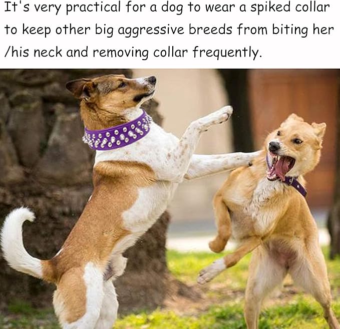 TEEMERRYCA Adjustable PU Leather Spiked Studded Dog Collars with a Squeak Ball Gift for Small Medium Large Pets Like Cats/Pit Bull/Bulldog/Pugs/Husky, Purple, XXL 19.7"-22.4"