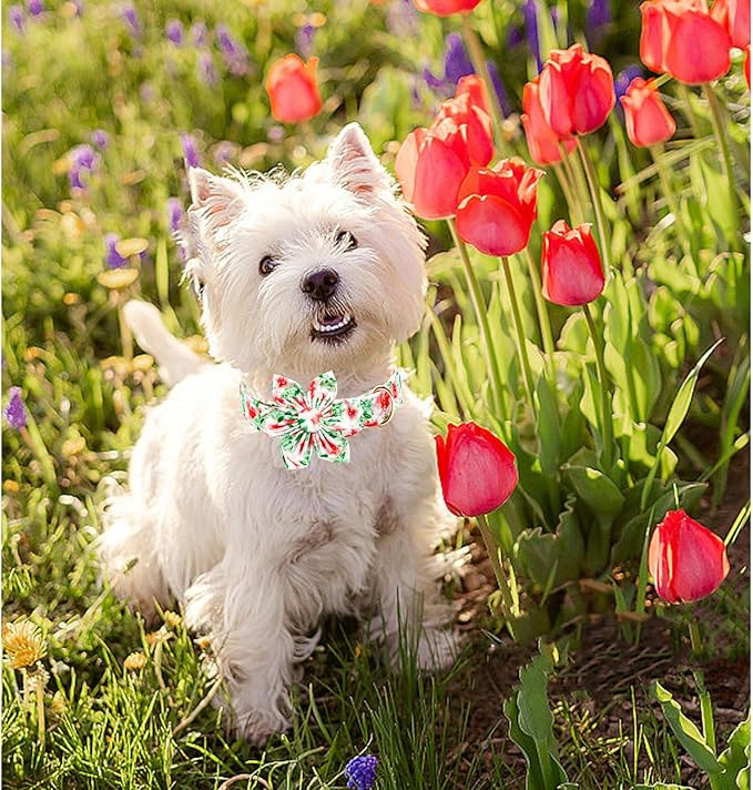 Lionheart glory Dog Collar Flowers Collar Floral Dog Collar with Flower Spring Summer Cute Collar Dog Boy or Girl Dog Collars Soft Durable Adjustable Dog Collars for Large Dogs, Red Roses
