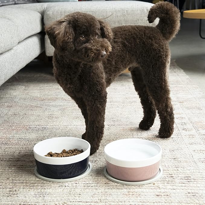 Waggo Habit Silicone Dog Placemat – Set of 2 Modern Heavyweight Silicone Dog Food Mats, Dishwasher Safe, Non-Slip, Solid Color – Black (Small, 6")