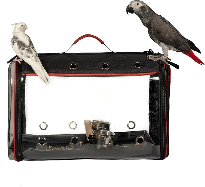 Colorday Lightweight Bird Carrier for Travelers, Bird Travel Cage with Parrot Feeder Cups & Standing Perch and Tracy (Large 19 x 12 x 13 inch, Black)