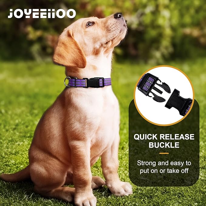 Martingale Dog Collar, Adjustable Nylon Reflective Collar with Quick Release Buckle (Purple, Extra Large)