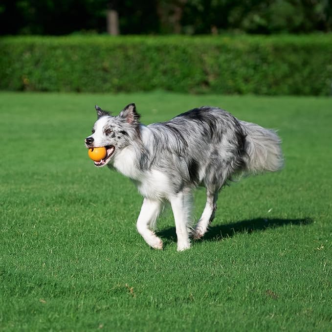 Amazon Basics Interactive Bouncy Durable Rubber Dog Toy Balls, 2.5 inch, Blue, Beige, Orange, Pack of 3