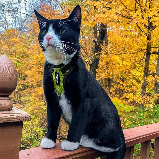 Voyager Escape-Proof Step-in Lock Cat Harness & 5ft Neoprene-Handle Leash Set All-Weather Mesh with Reflective Stitching for Small to Large Cats by Best Pet Supplies, Lime Green/Black Trim, S
