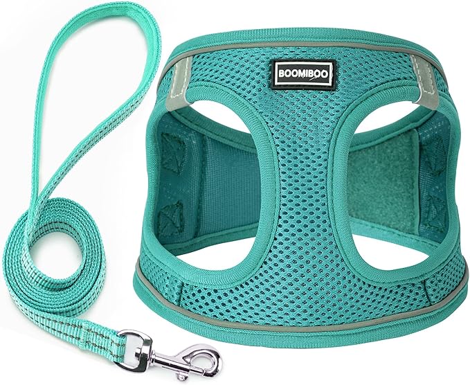 Dog Harness with Leash Set, No Pull Adjustable Reflective Step-in Puppy Pet Vest Harnesses for Small Medium Large Dogs and Cats,Forest Green XS