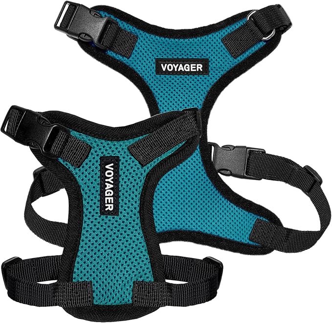 Voyager Step-in Pet Harness - All Weather Mesh, Adjustable Step in Harness for Cats and Dogs by Best Pet Supplies - Turquoise/Black Trim, XL