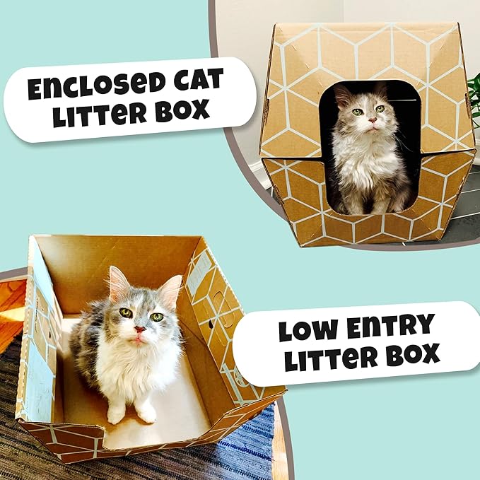 Tallest Disposable Cat Litter Box 15 Trays 2 Trays Litter Box Low Entry Original Patented Indentical Design19 Lx17 Wx8.5 17 in. Closed Box. Woman Lifelong Cat Care Sassy Uses Daily 14 yrs Made-US