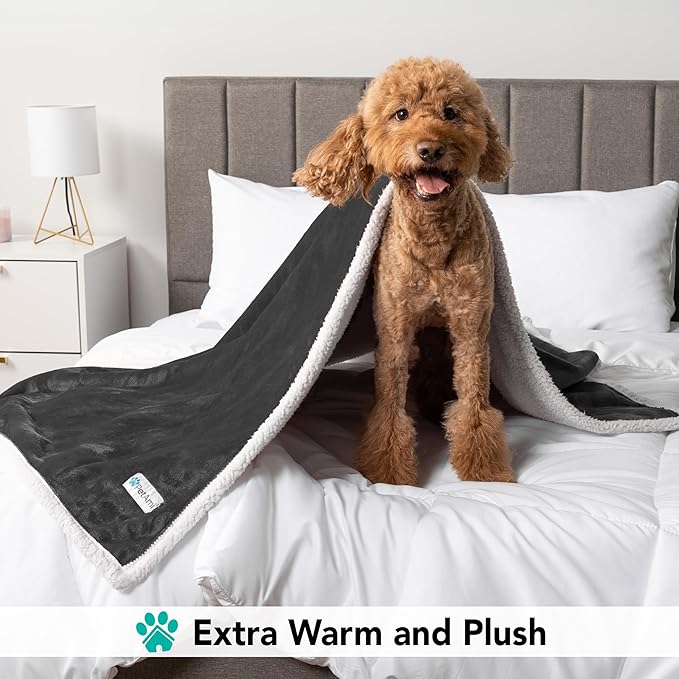 PetAmi Dog Blanket for Small Medium Dogs, Pet Bed Blanket Cat Puppy Kitten, Fleece Furniture Couch Cover Protector Sofa Car, Soft Sherpa Dog Throw Plush Reversible Washable, Mini 29x40 Dark Gray