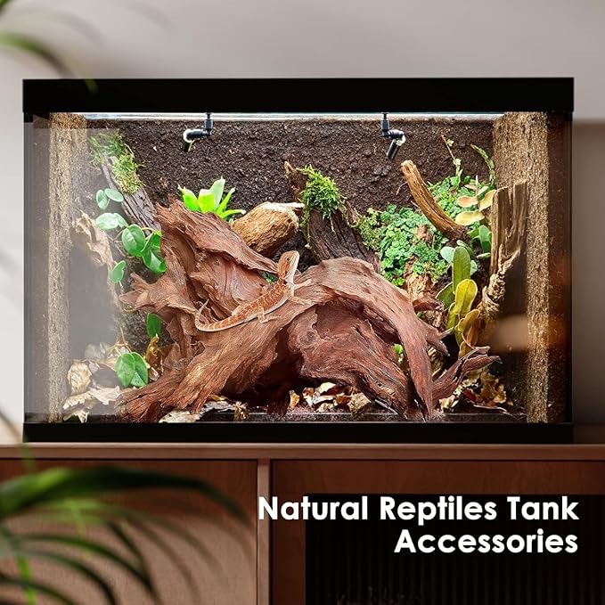 Jorewood Natural Small Aquarium Driftwood for Fish Tanks & Reptile Terrariums – Safe Fish Tank Decorations, Unique Twisted Branches 10-Piece 2-4 Inch Low Tannin, Easy to Sink