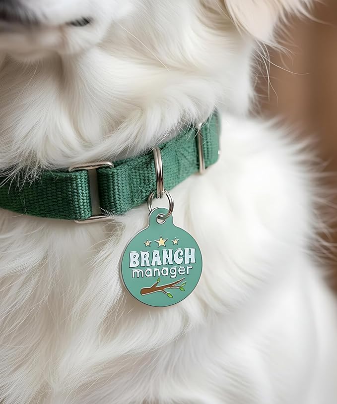 Bad Tags Personalized Dog and Cat ID Tags in 25+ Designs and 2 Sizes - 5 Lines of Custom Engraved Text - Funny Cute Personalized Pet Tags (Branch Manager, Small (1 inch))