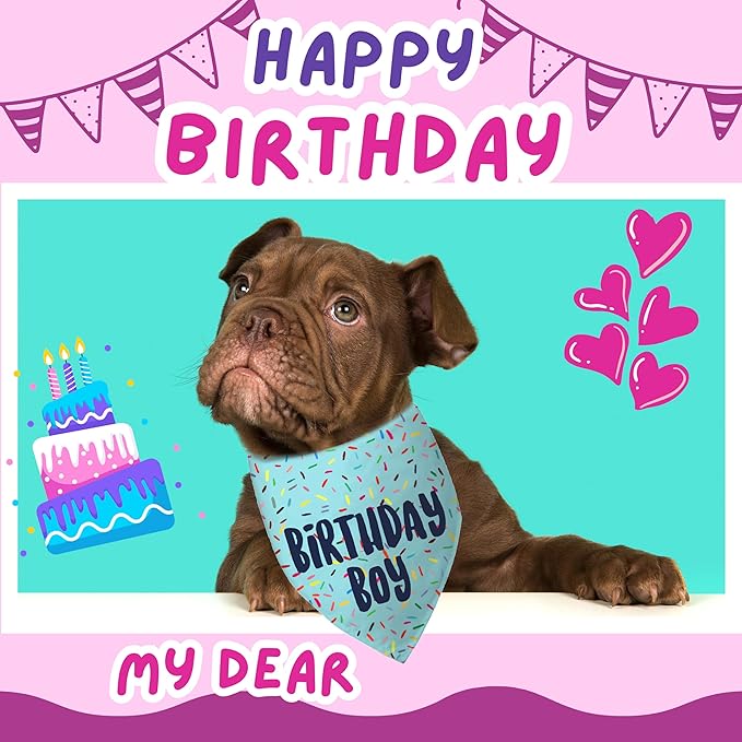 Birthday Boy Dog Bandanas 1 Pack, Blue Birthday Dog Scarfs, Pet Scarves for Birthday Boy Bandanas for Large and Extra Large Dogs (Blue, X-Large)