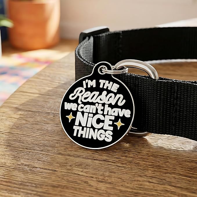 Bad Tags Personalized Dog and Cat ID Tags in 25+ Designs and 2 Sizes - 5 Lines of Custom Engraved Text - Funny Cute Personalized Pet Tags (I'm The Reason We Can't Have Nice Things, Small (1 inch))