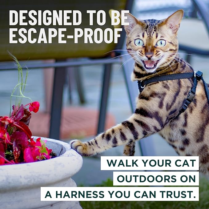 Houdini™ Escape Proof Cat Harness and Leash Set by OutdoorBengal – Black, Large Cat Harness for Walking Big Cats
