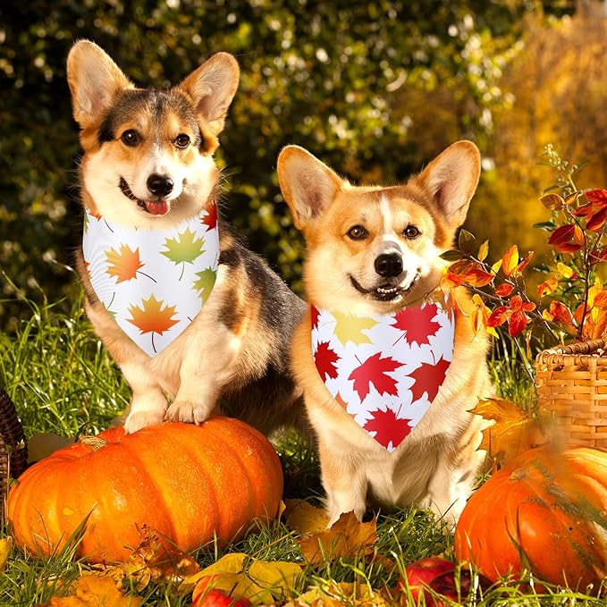 Abbylike 50 Pcs Fall Thanksgiving Dog Maple Leaves Bandanas Bulk Bandanas for Dogs Triangle Kerchief Bib Scarf for Pets Autumn Costume Photo Props Accessories Pet Shops, 25 Styles (25.6 x 17.7 x 17.7)