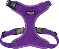 Voyager Step-in Pet Harness - All Weather Mesh, Adjustable Step in Harness for Cats and Dogs by Best Pet Supplies - Purple, XL