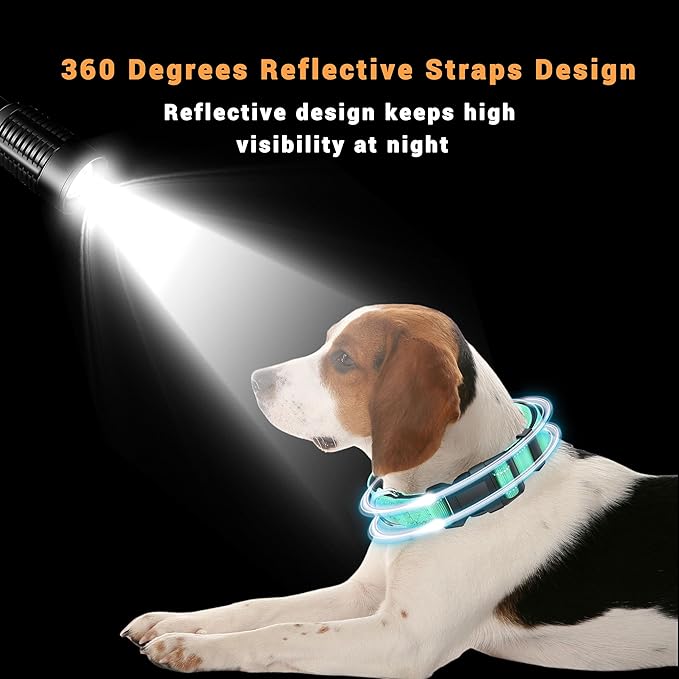2 Pack Reflective Dog Collar with Safety Locking Buckle, Adjustable Soft Breathable Comfortable Nylon Pet Collar for Small, Medium and Large Dogs, Turquoise, M