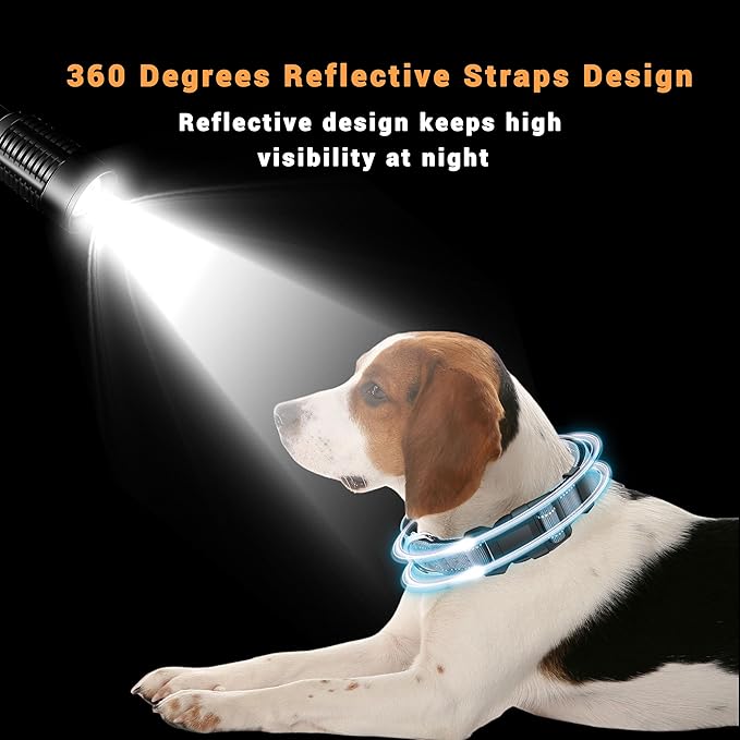 2 Pack Reflective Dog Collar with Safety Locking Buckle, Adjustable Soft Breathable Comfortable Nylon Pet Collar for Small, Medium and Large Dogs, Gray, L