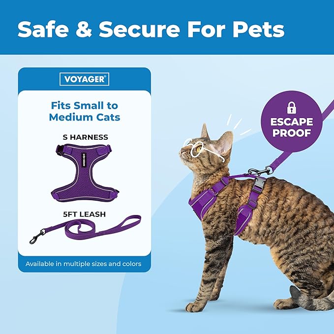 Voyager Escape-Proof Step-in Lock Cat Harness & 5ft Neoprene-Handle Leash Set All-Weather Mesh with Reflective Stitching for Small to Large Cats by Best Pet Supplies, Purple (327), S
